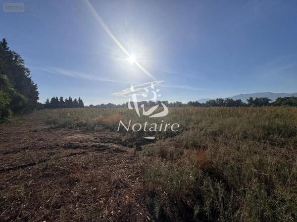 Achat - Terrain de loisirs, bois, étangs Elne 66200 69131 m 2