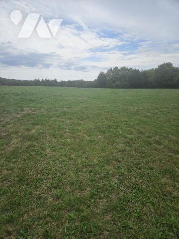 Aibes - Parcelle de terrain avec pâture de plus d'1 hectare