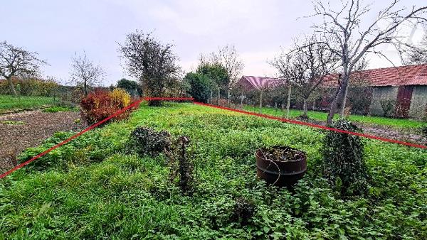 Maison 2 ch, grand jardin bord de route