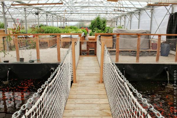 JARDIN AQUAPONIQUE