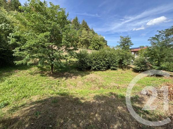 Maison à vendre  6 pièces - 139 m 2   ST MICHEL SUR MEURTHE  - 88