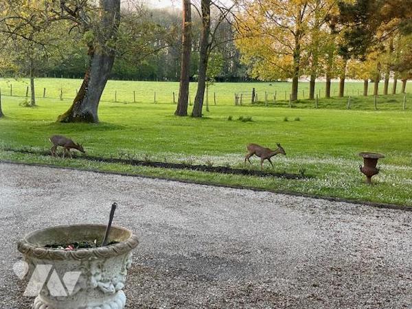 FRIAUCOURT, ELEGANTE DEMEURE 