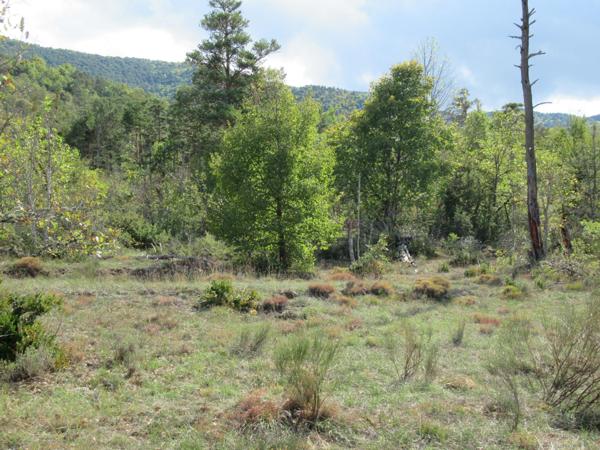 A saisir grand terrain