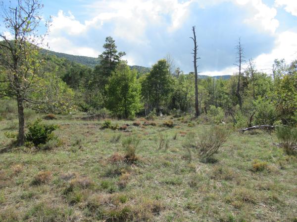 A saisir grand terrain