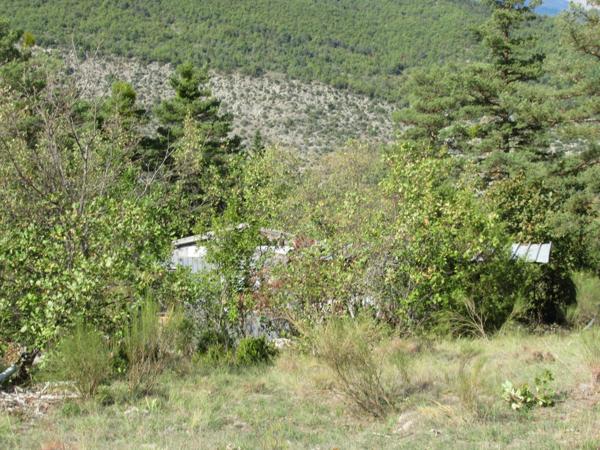 A saisir grand terrain