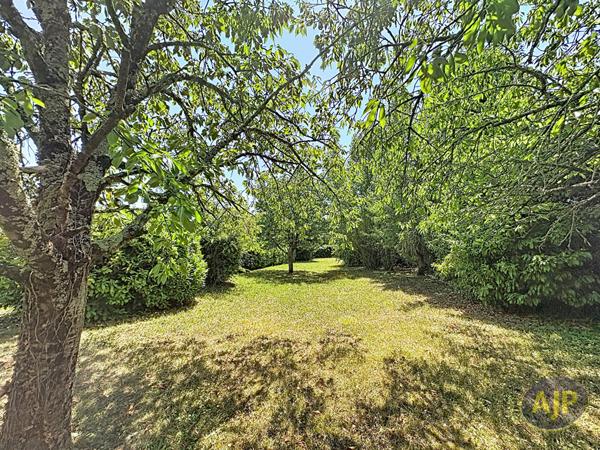 Vente maison Lucon : 212 200 € - AJP Immobilier Luçon