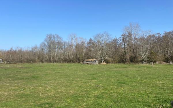 Terrain à vendre    Saint-Julien-en-Born