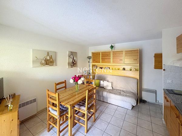 Appartement Argeles Sur Mer 2 pièce(s) 25 m2