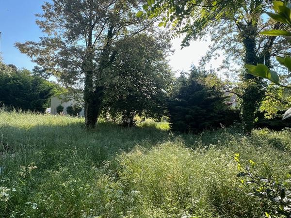 Terrain Sous les Pins Longeville Sur Mer 493 m2