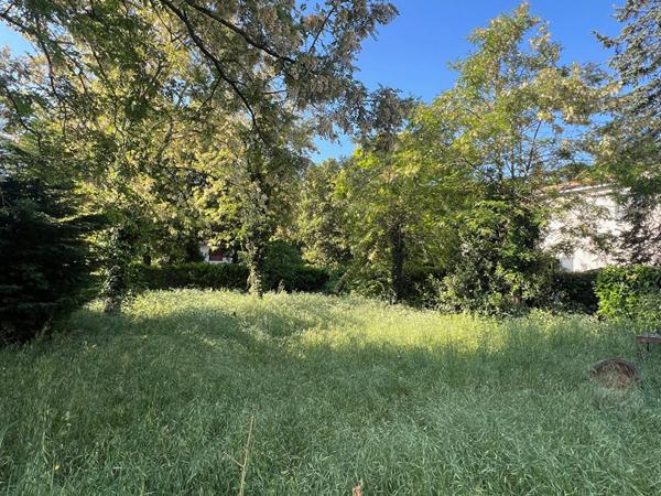 Terrain Sous les Pins Longeville Sur Mer 493 m2