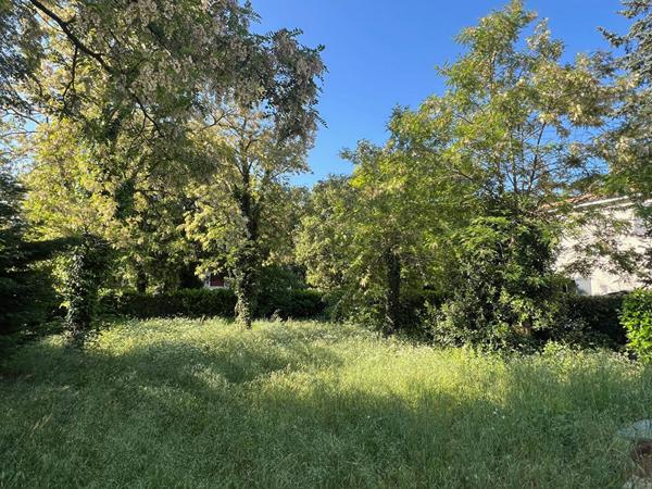 Terrain Sous les Pins Longeville Sur Mer 493 m2