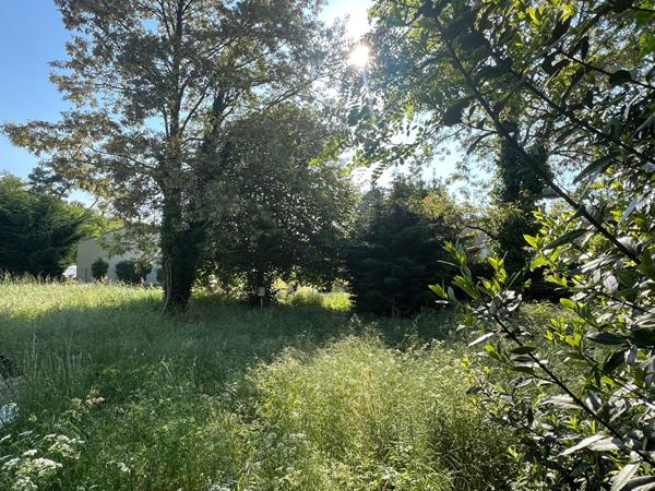 Terrain Sous les Pins Longeville Sur Mer 493 m2