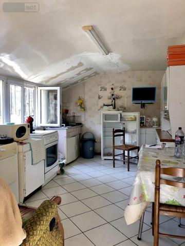 Maison à vendre à Malicorne-sur-Sarthe dans la Sarthe (72270), ref : 72068-1989