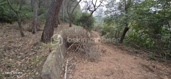 Terrain de loisirs de 3 684 m²