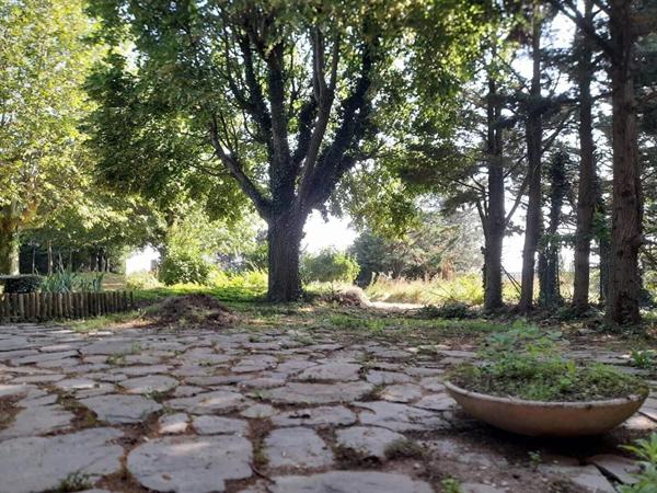 Vente Maison 5 pièces 177 m2 à Bésayes