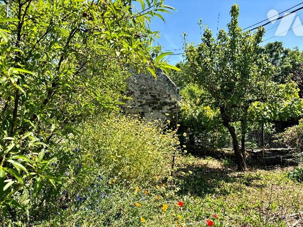 Maison de caractère à rénover sur l’Île de Chalonnes-sur-Loire, 131m² à aménager.