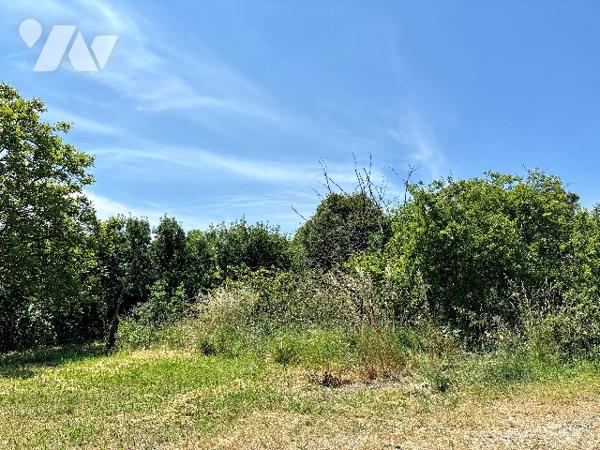 Maison de caractère à rénover sur l’Île de Chalonnes-sur-Loire, 131m² à aménager.