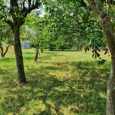 Charmante maison de 48 m² sur superbe terrain bucolique