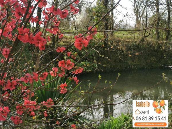 Très belle maison Gasconne au cœur du Gers avec terrain supérieur à 1 ha, jardin, 3 points d'eau, potager naturel.