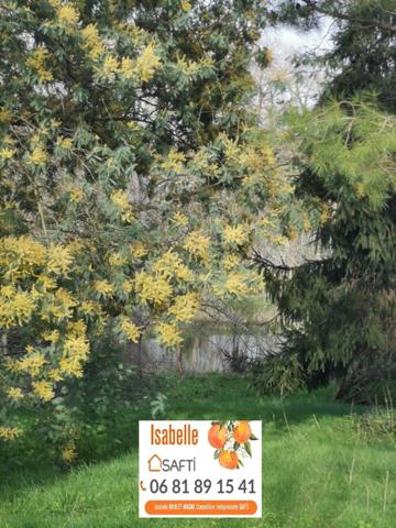 Très belle maison Gasconne au cœur du Gers avec terrain supérieur à 1 ha, jardin, 3 points d'eau, potager naturel.