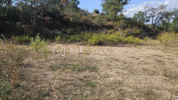 Votre conseillère Fabienne RIGAUD – BSK Immobilier – vous invite à découvrir ce terrain constructible d’environ 1 650 m², situé dans le secteur calme, sur les hauteurs de Vidauban.

Vous apprécierez son environnement pour imaginer votre futur projet de construction et profiter d’un cadre de vie privilégié au cœur du Var. 

 Un potentiel de construction idéal (Zone UCa) Implantée dans un secteur pavillonnaire recherché, cette belle parcelle offre de très belles opportunités pour concrétiser votre projet de vie

Zone du PLU : Zone UCa   Emprise au sol autorisée : 20 %, soit une possibilité d'emprise bâtie allant jusqu'à 335 m² au sol (idéal pour une grande villa de plain-pied ou avec étage, garage, etc.)   
Hauteur maximale : Jusqu'à 7 mètres   
Espaces préservés : Un cadre garantissant au minimum 60 % d'espaces libres et verdoyants  
Implantation : Retrait minimal de 4 mètres par rapport à la voie et aux limites séparatives   

Les atouts du bien :
Superficie généreuse : 1 650 m²   
Environnement calme et résidentiel : Quartier prisé sur les hauteurs de la commune   
Secteur favorable : Zone favorable pour l'assainissement individuel 

Une opportunité rare sur le secteur pour bâtir la maison de vos rêves dans un cadre paisible et verdoyant, tout en restant à proximité des commodités et des grands axes du Var.

Pour tout renseignement complémentaire ou pour organiser une visite sur place, contactez-moi au 06 60 81 38 06 ou par email : f.rigaud@bskimmobilier.com