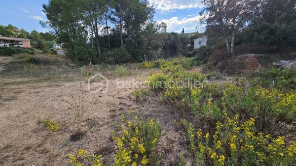Votre conseillère Fabienne RIGAUD – BSK Immobilier – vous invite à découvrir ce terrain constructible d’environ 1 650 m², situé dans le secteur calme, sur les hauteurs de Vidauban.

Vous apprécierez son environnement pour imaginer votre futur projet de construction et profiter d’un cadre de vie privilégié au cœur du Var. 

 Un potentiel de construction idéal (Zone UCa) Implantée dans un secteur pavillonnaire recherché, cette belle parcelle offre de très belles opportunités pour concrétiser votre projet de vie

Zone du PLU : Zone UCa   Emprise au sol autorisée : 20 %, soit une possibilité d'emprise bâtie allant jusqu'à 335 m² au sol (idéal pour une grande villa de plain-pied ou avec étage, garage, etc.)   
Hauteur maximale : Jusqu'à 7 mètres   
Espaces préservés : Un cadre garantissant au minimum 60 % d'espaces libres et verdoyants  
Implantation : Retrait minimal de 4 mètres par rapport à la voie et aux limites séparatives   

Les atouts du bien :
Superficie généreuse : 1 650 m²   
Environnement calme et résidentiel : Quartier prisé sur les hauteurs de la commune   
Secteur favorable : Zone favorable pour l'assainissement individuel 

Une opportunité rare sur le secteur pour bâtir la maison de vos rêves dans un cadre paisible et verdoyant, tout en restant à proximité des commodités et des grands axes du Var.

Pour tout renseignement complémentaire ou pour organiser une visite sur place, contactez-moi au 06 60 81 38 06 ou par email : f.rigaud@bskimmobilier.com