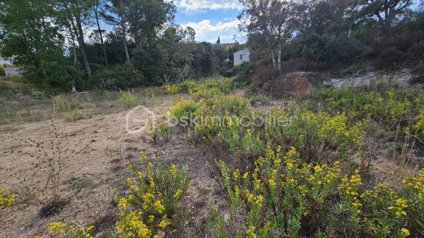Votre conseillère Fabienne RIGAUD – BSK Immobilier – vous invite à découvrir ce terrain constructible d’environ 1 650 m², situé dans le secteur calme, sur les hauteurs de Vidauban.

Vous apprécierez son environnement pour imaginer votre futur projet de construction et profiter d’un cadre de vie privilégié au cœur du Var. 

 Un potentiel de construction idéal (Zone UCa) Implantée dans un secteur pavillonnaire recherché, cette belle parcelle offre de très belles opportunités pour concrétiser votre projet de vie

Zone du PLU : Zone UCa   Emprise au sol autorisée : 20 %, soit une possibilité d'emprise bâtie allant jusqu'à 335 m² au sol (idéal pour une grande villa de plain-pied ou avec étage, garage, etc.)   
Hauteur maximale : Jusqu'à 7 mètres   
Espaces préservés : Un cadre garantissant au minimum 60 % d'espaces libres et verdoyants  
Implantation : Retrait minimal de 4 mètres par rapport à la voie et aux limites séparatives   

Les atouts du bien :
Superficie généreuse : 1 650 m²   
Environnement calme et résidentiel : Quartier prisé sur les hauteurs de la commune   
Secteur favorable : Zone favorable pour l'assainissement individuel 

Une opportunité rare sur le secteur pour bâtir la maison de vos rêves dans un cadre paisible et verdoyant, tout en restant à proximité des commodités et des grands axes du Var.

Pour tout renseignement complémentaire ou pour organiser une visite sur place, contactez-moi au 06 60 81 38 06 ou par email : f.rigaud@bskimmobilier.com
