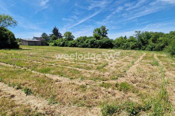 Terrain à vendre de 3924 m² à Saint-Gaultier