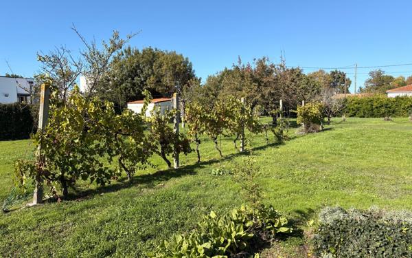 Terrain à vendre    Bourcefranc-le-Chapus