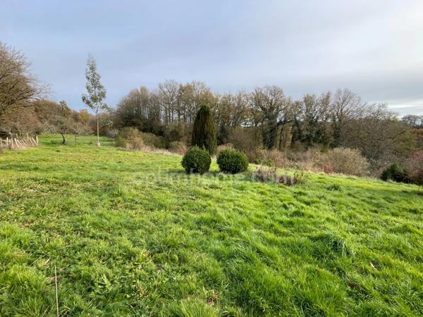 Maison en pierre- grange -terrain 4274 m2 SAINT PRIEST LA FEUILLE (23)