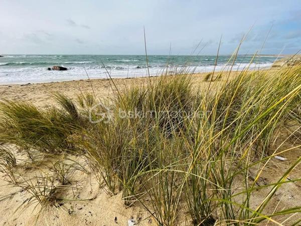 ERDEVEN, commune du littoral Breton, appartenant aux Grands Sites de France, le plus grand massif dunaire de Bretagne de GAVRES à QUIBERON , se situe cette maison de plain pied, des années 80, à moins de 10 minutes à pieds des grandes PLAGES de sable fin.
Cuisine dînatoire aménagée et équipée, séjour avec cheminée insert, 2 belles chambres, salle de douche à l’italienne. Wc séparé. Garage attenant avec mezzanine habitable. Double vitrage récent. Terrain clos d’environ 1000 m2.
Prenez rendez-vous, Exclusivement avec Edith L’Honoré, pour la découvrir .