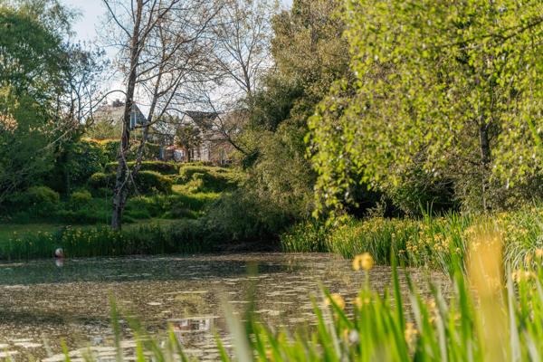 Authentique longère en pierres dans un écrin de verdure