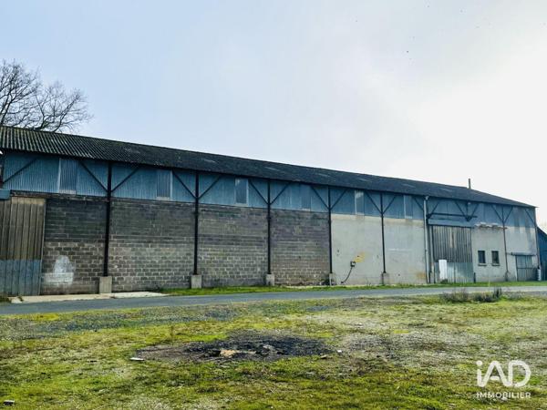 Location murs commerciaux  3 000 m² Beaucouzé