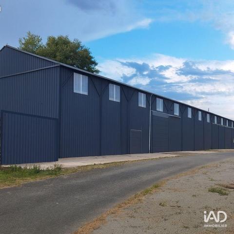 Location murs commerciaux  3 000 m² Beaucouzé