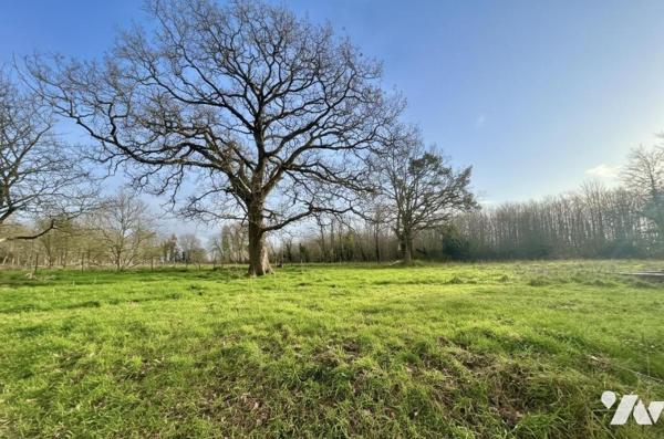 Maison avec du charme - Cadre Privilégié / Campagne Nord - PORNIC