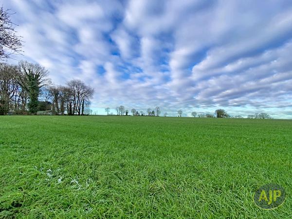 Vente maison Melesse : 549 000 € - AJP Immobilier Pacé