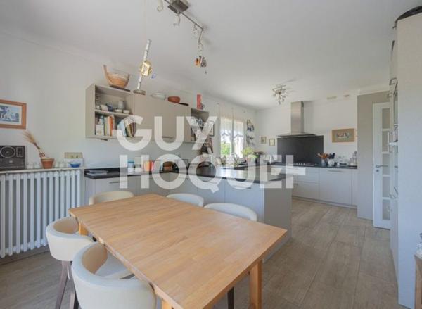 Maison Blagnac 6 pièce(s) 228 m2