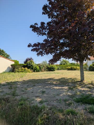 Terrain de 483 m²