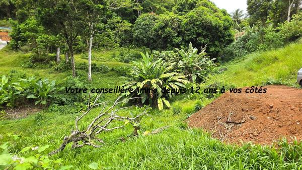 Terrain constructible à SAINTE LUCE (97228)