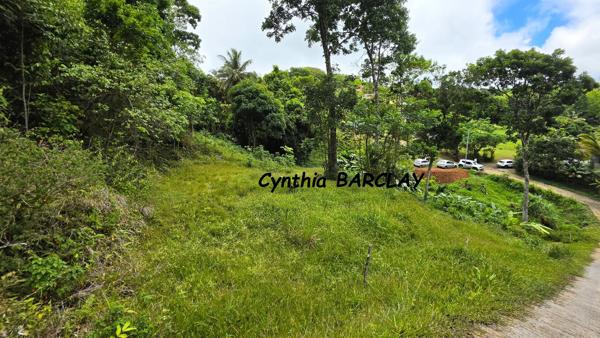 Terrain constructible à SAINTE LUCE (97228)