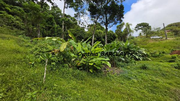 Terrain constructible à SAINTE LUCE (97228)