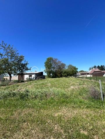 Terrain de 1 233 m²