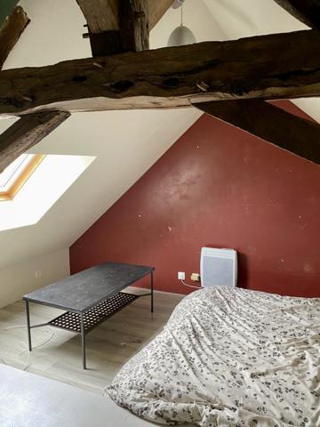 Langeais (37130) Maison avec jardin