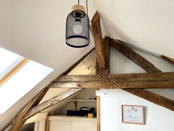 Langeais (37130) Maison avec jardin