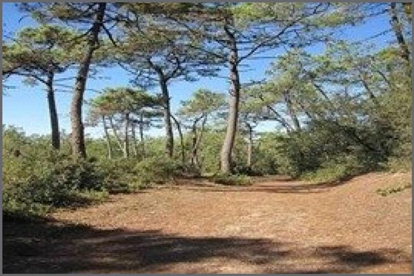 LOCALISATION PREMIUM !