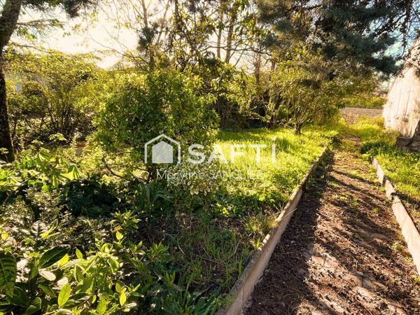 Maison au centre ville à rénover ou projet de nouvelle construction!