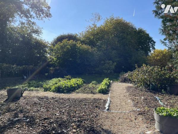 A VENDRE- MAISON- MONTJEAN