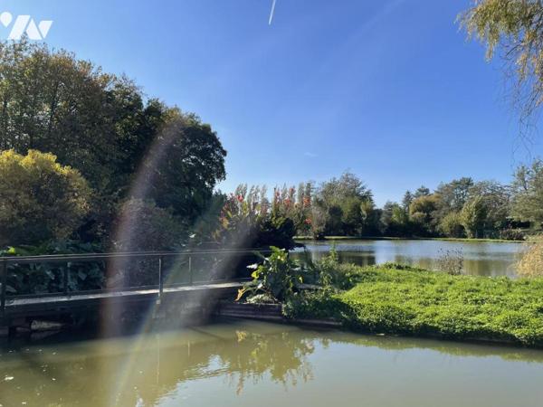 A VENDRE- MAISON- MONTJEAN