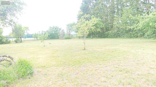 Terrain à Batir à vendre à Bayel dans l'Aube (10310), ref : 10379/505   
Calme