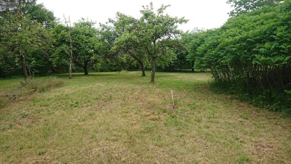 Terrain à Batir à vendre à Bayel dans l'Aube (10310), ref : 10379/505   
Calme